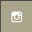icone instagram