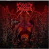 capa cd